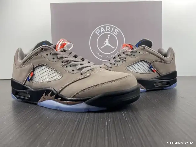 x Air DX6325-204 Low PSG Jordan 5 0528